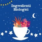 CUPPER Calendario dell'Avvento Biologico, Cofanetto Assortito di 12 Tè e Infusi Biologici e 100% Naturali, Assortimento di Tisane e Tè con Filtri 100% Biodegradabili, Confezione da 24 Bustine